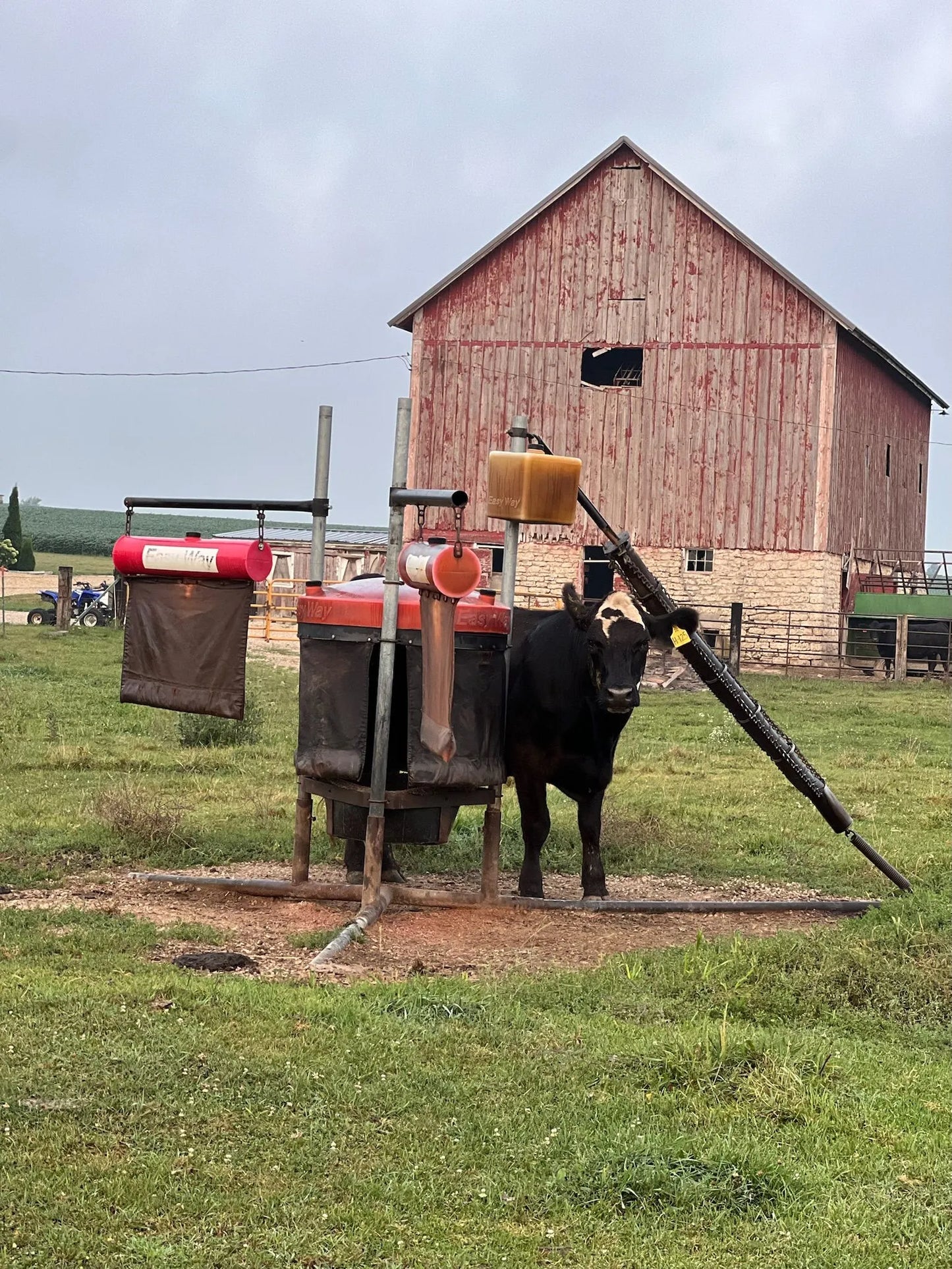 Easy Way Cattle Saver | Cattle Pest Control Station | Width Not Specified | For Livestock & Ranch Use