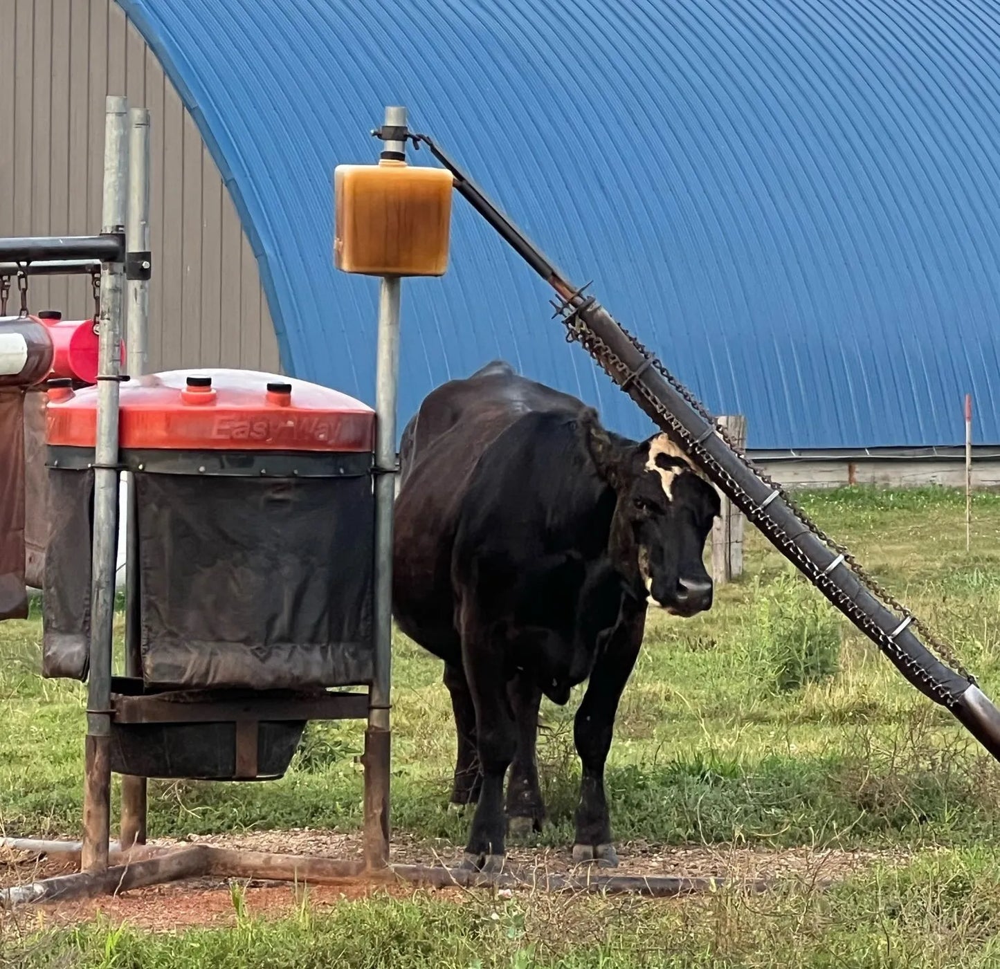 Easy Way Cattle Saver | Cattle Pest Control Station | Width Not Specified | For Livestock & Ranch Use