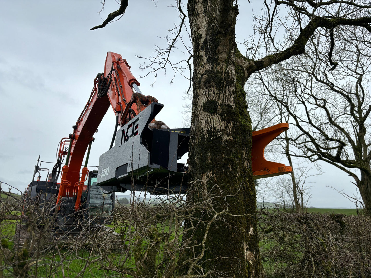 MDE Machinery | Tree Shear With Buncher | Model Koala 150T To Koala 550T | Cutting Capacity 6" To 21.5" Inches | Machine Size 1.5-40 Ton | For Excavator