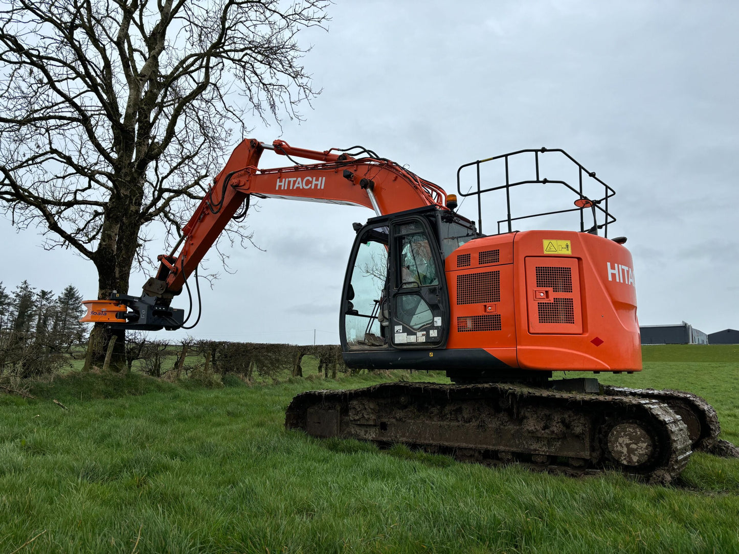 MDE Machinery | Tree Shear With Buncher | Model Koala 150T To Koala 550T | Cutting Capacity 6" To 21.5" Inches | Machine Size 1.5-40 Ton | For Excavator