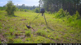 Camera Raipping WiseEye Cameras – Ripping It Outdoors