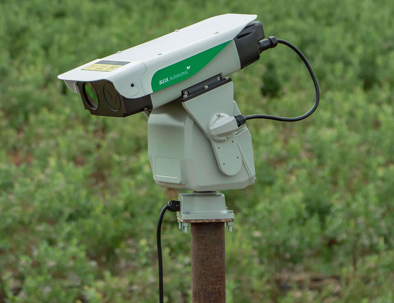 Bird Control Group Pest Systems Autonomic Bird Laser