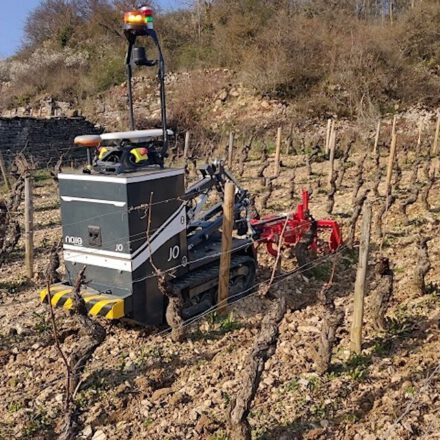 Naio Technologies Jo Autonomous Crawler for Narrow Vines | 100% Electric | GNSS RTK Guidance | Up to 8 Hours Autonomy