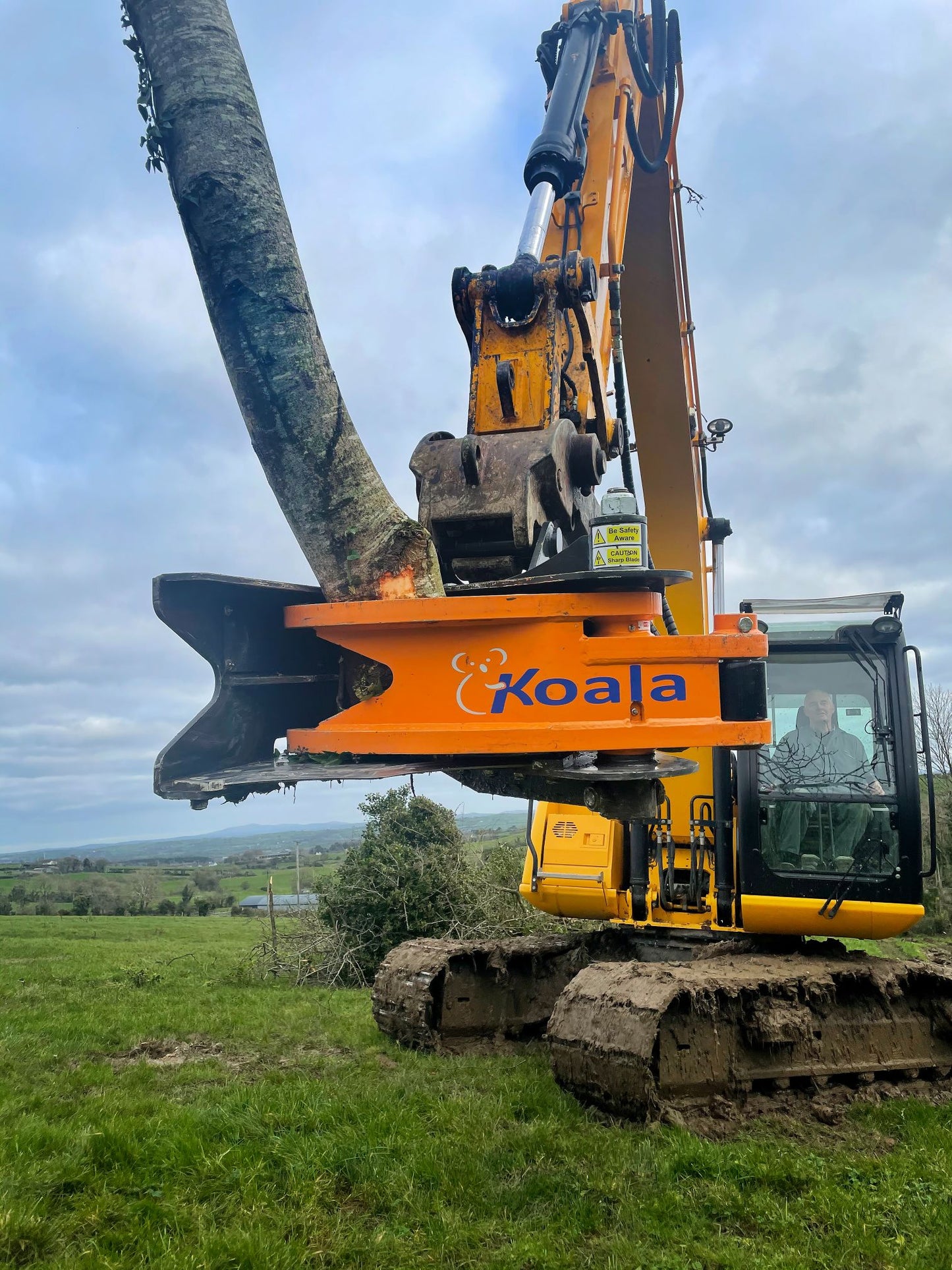 MDE Machinery | Tree Shear With Buncher | Model Koala 150T To Koala 550T | Cutting Capacity 6" To 21.5" Inches | Machine Size 1.5-40 Ton | For Excavator