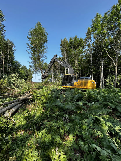 MDE Machinery | Tree Shear With Buncher | Model Koala 150T To Koala 550T | Cutting Capacity 6" To 21.5" Inches | Machine Size 1.5-40 Ton | For Excavator