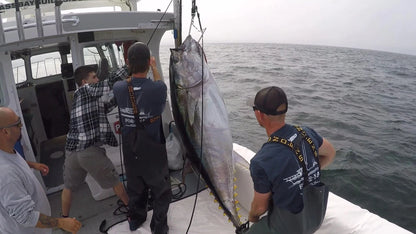 LT Marine Commercial Tuna Swim Hook | Heavy-Duty 316 Stainless Steel | For Reviving Giant Bluefin Tuna