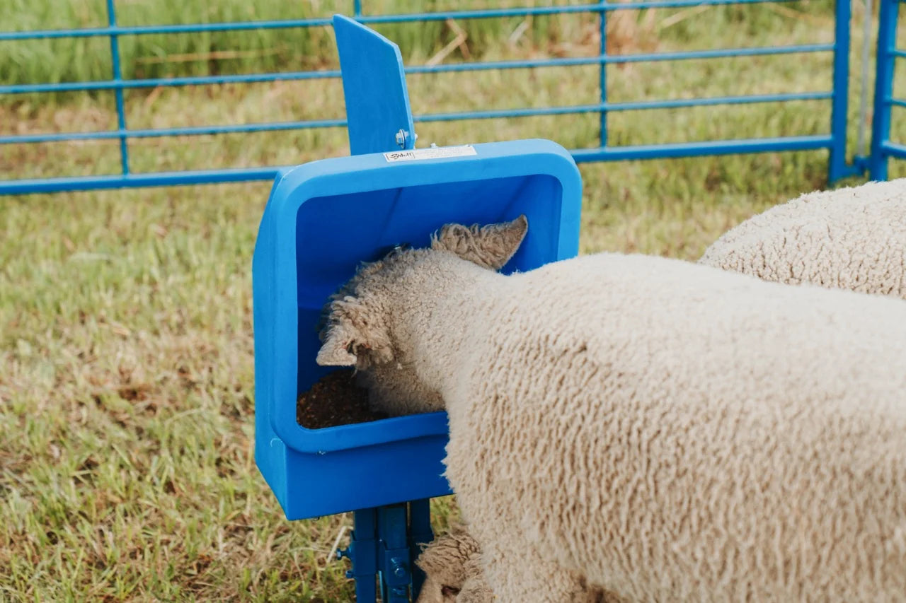 Sydell Salt & Mineral Feeder | #0801-4 / #0801-4-G | Round Base 36" | Capacity 25 lb | For Sheep & Goat