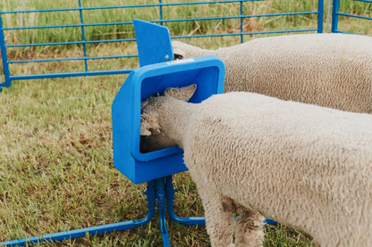Sydell Salt & Mineral Feeder | #0804 | 12" Access Opening | Capacity 25 lb | 4-Leg Base | For Sheep & Goat Livestock
