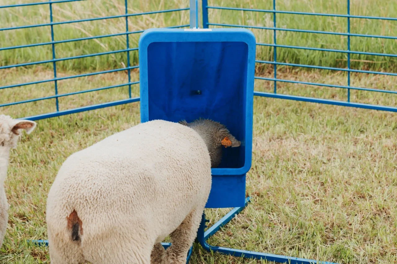 Sydel Salt & Mineral Feeder | #0801-5 / #0801-5-G | 36" Base | Capacity 50 lb | For Sheep & Goat Livestock