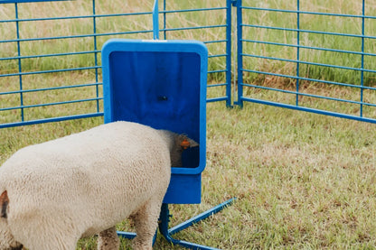 Sydell Salt & Mineral Feeder | #0805 | 4-Leg Base | Capacity 50 lb | For Sheep & Goat Livestock