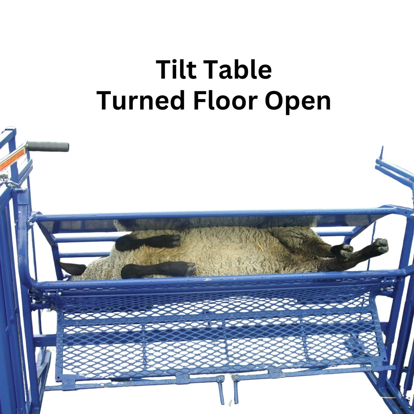 Sydell Tilt Table For Sheep & Goats | #0930 | Width 61" | For 100+ lb Livestock Hoof Trimming