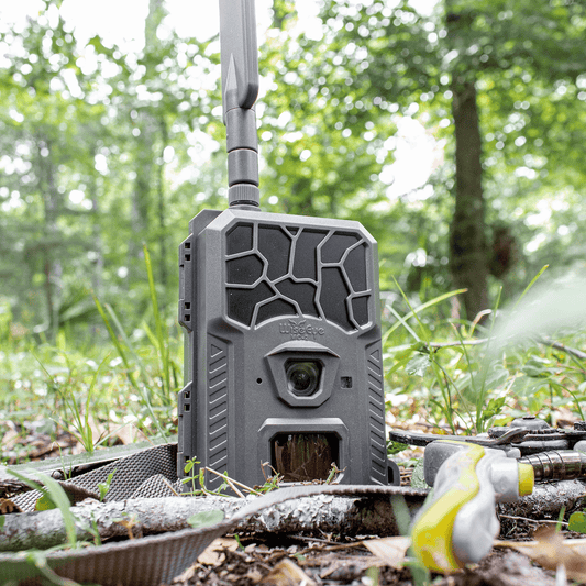 WiseEye | Cellular Trail Camera | Model MC-2 | 75ft IR Flash | 12MP HD Photos & 1080p Video | 0.4s Trigger Speed | MultiCarrier Connectivity | For Hunters & Wildlife Monitoring