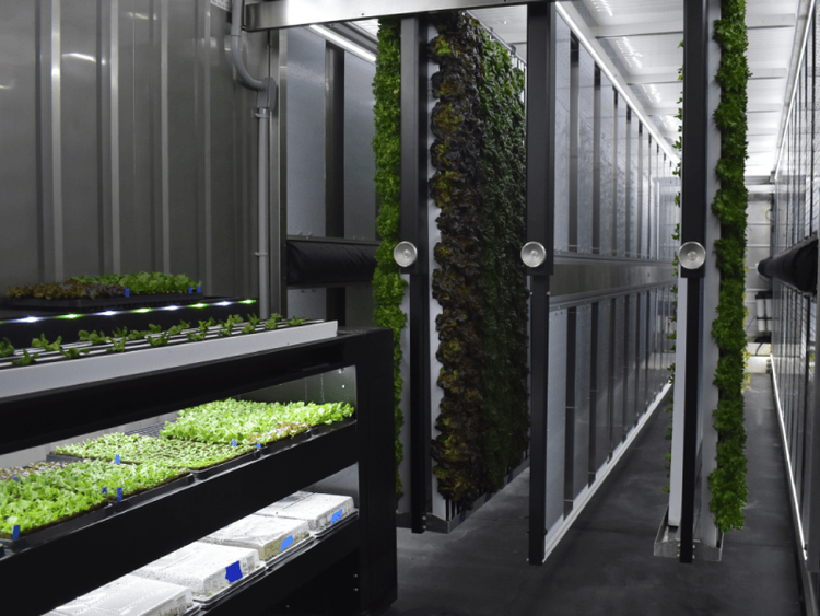 Freight Farms The Greenery | Hydroponic Container Farm | 40 x 8 feet Linear Growing Space