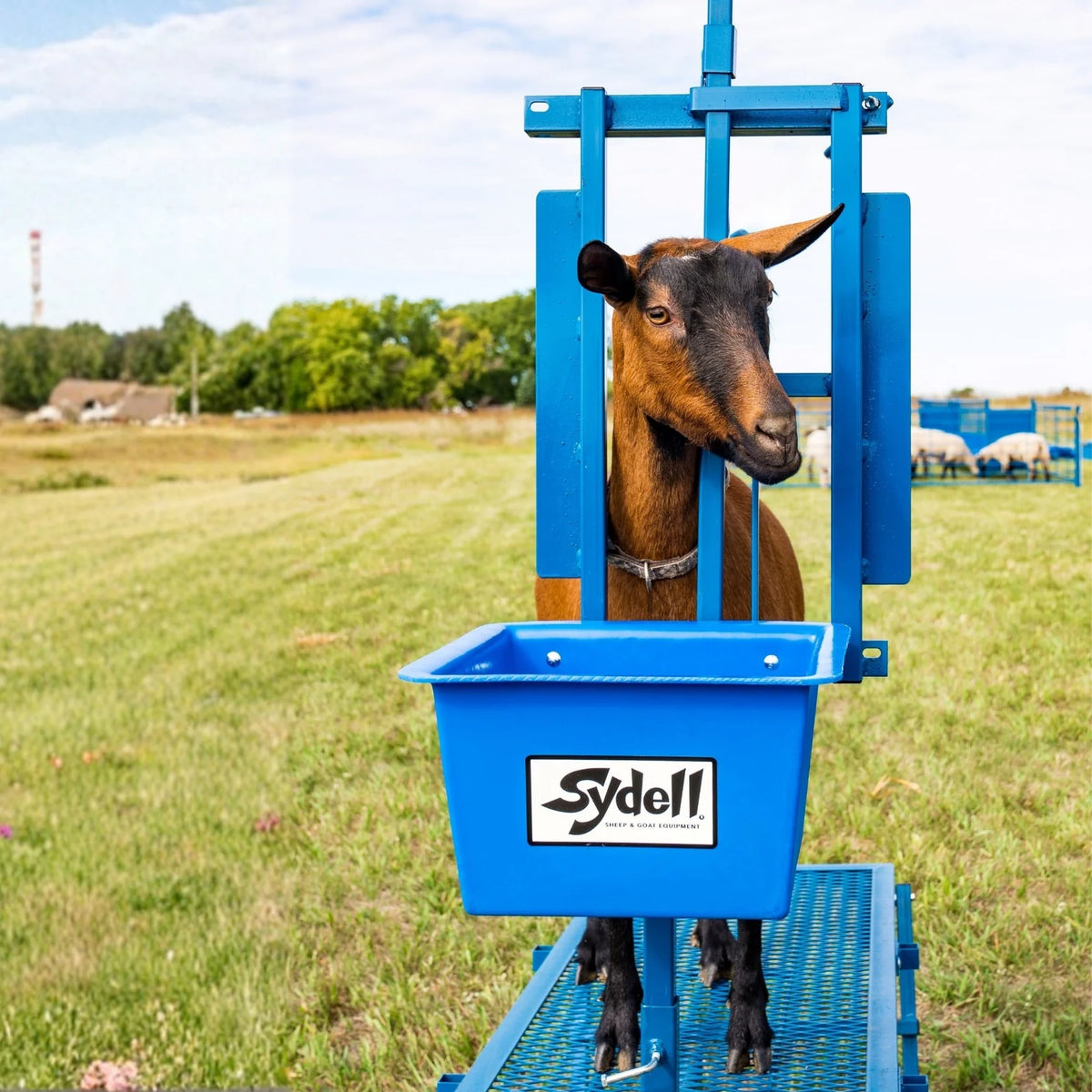 Sydell Milking Stanchion Only For Sheep & Goats | #1050 | 7.5" Width | Dairy & Livestock Pens