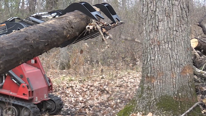 Erskine Heavy Duty Grapple Bucket Series | Bucket Width 66", 72" & 84" inches | 1/2” High-Strength Steel | For Skid Steers