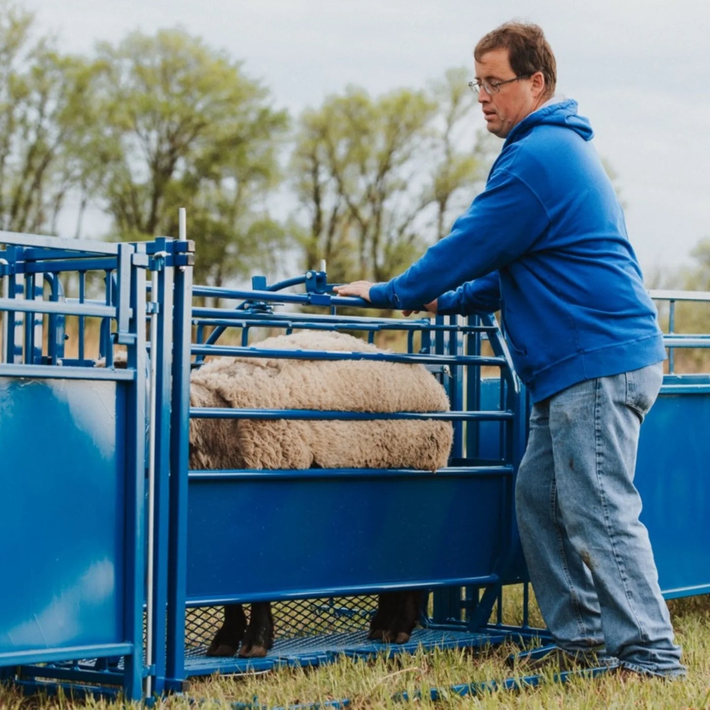Sydell Tilt Table For Sheep & Goats | #0930 | Width 61" | For 100+ lb Livestock Hoof Trimming