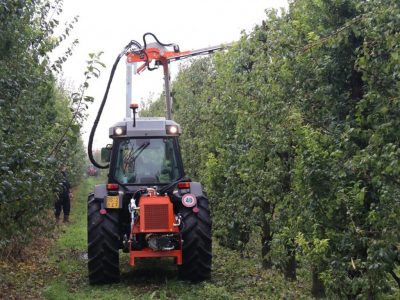 Rinieri Orchard and Trees Pruner with Discs ORP 6+4/6+6 | 16" Disc Diameter | 79" Cutting Width for Tractor