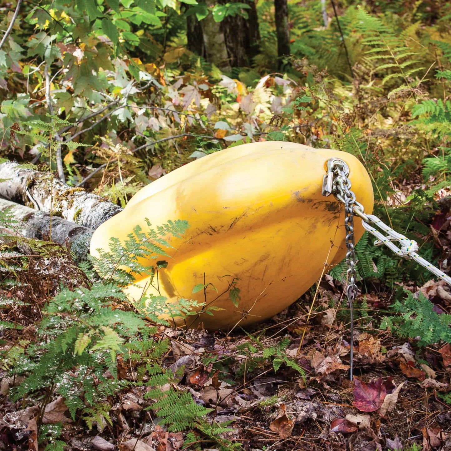 Portable Winch Skidding Cone | Timber Harvesting Tool | Diameter Capacity 20" | Dimensions 26" x 25"