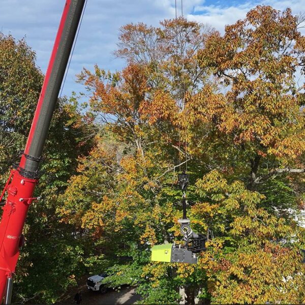RagnarTech PowerGrab | Model 1800 | Hydraulic Bar Saw 24" inches (Bi-Directional) | Load Capacity 10 Tons | For  30+ Ton Cranes