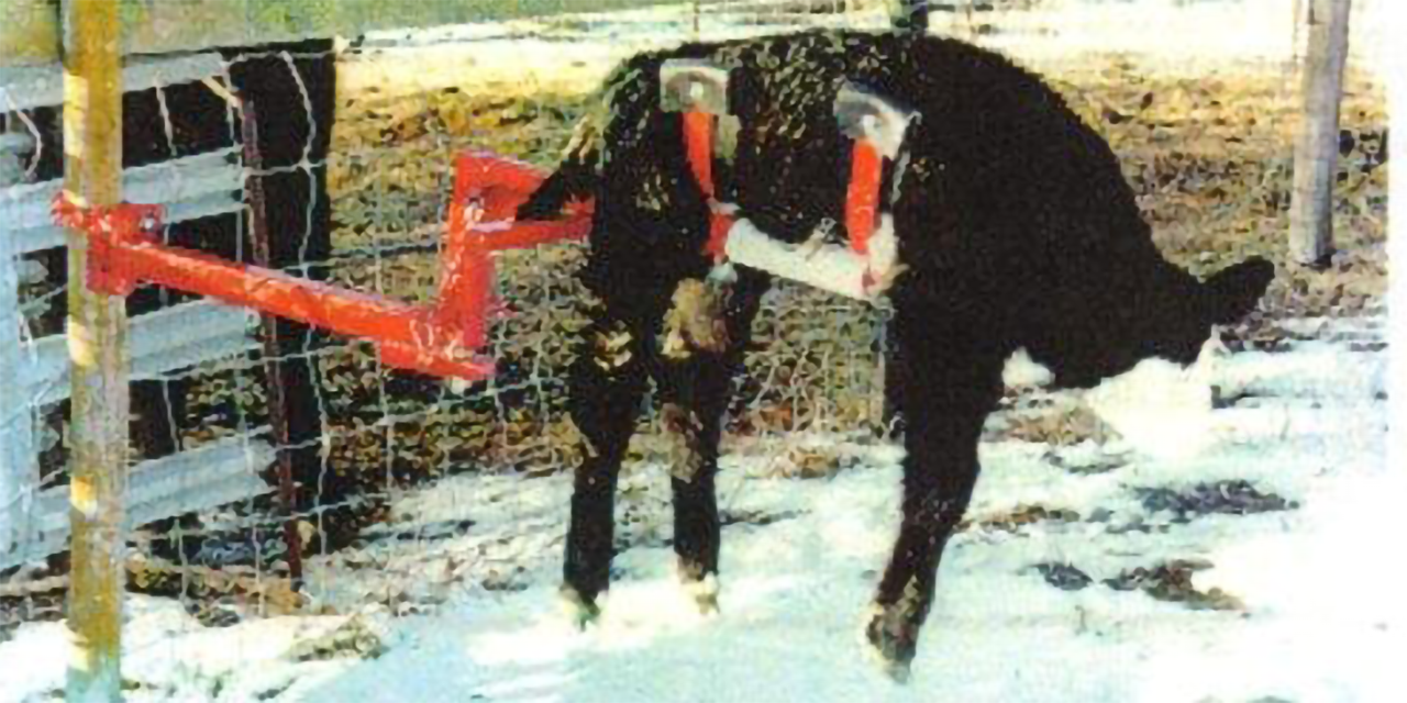 Global Equipment Palco Calf Kradel | 72" Length | 15–20 HP | For ATV & 4-Wheeler