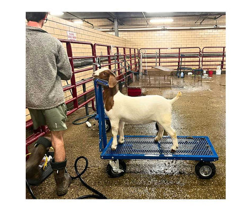 Sydell E.Z. Rider Wash Cart | #0785ERN | Smooth-Rolling | For Sheep & Goat Transport Cart