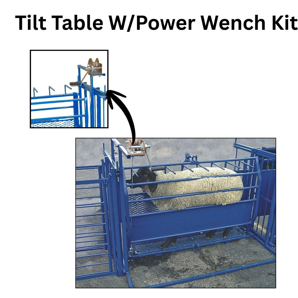 Sydell Tilt Table For Sheep & Goats | #0930 | Width 61" | For 100+ lb Livestock Hoof Trimming