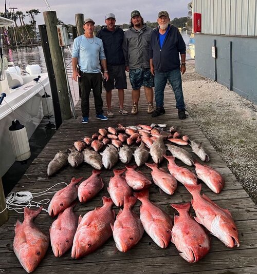 Florida Red Snapper Fishing Trips