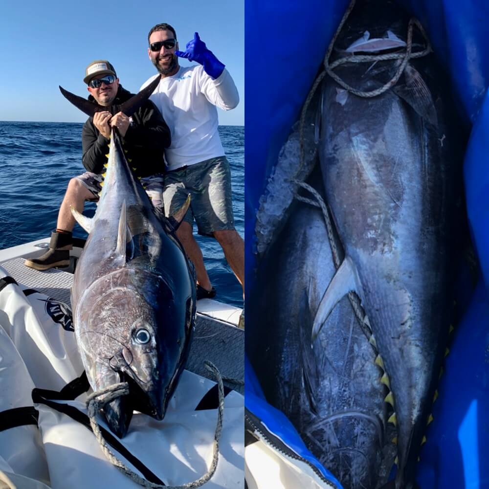 Reliable Fishing 42" X 90" Insulated Kill Bag, Cow Tuna Edition