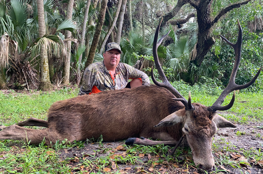 Florida Red Stag Deer Hunting Trip