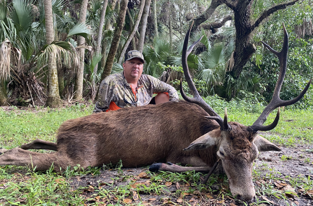 Florida Red Stag Deer Hunting Trip