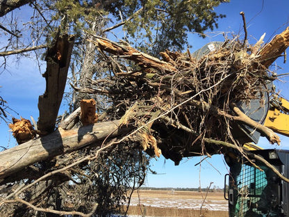 Virnig V60 Root Rake Grapple | Models RRG72, RRG78 & RRG84 | Widths 74.5" To 86.5" | Hydraulic Flow 15 To 25 GPM | For Skid Steer