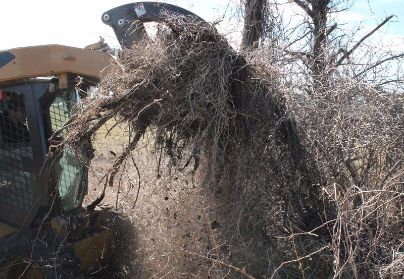 Virnig V60 Root Rake Grapple | Models RRG72, RRG78 & RRG84 | Widths 74.5" To 86.5" | Hydraulic Flow 15 To 25 GPM | For Skid Steer