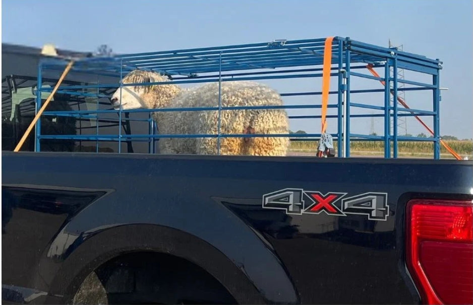 Sydell Transport Portable Pickup Racks | Livestock Rack | Size 48" x 96" | 20–50 HP | For Pickup Truck