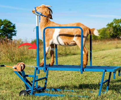 Sydell Straight Neck Reach For Sheep & Goats | #0733 | 30" | Heavy-Duty Steel | For Livestock Handling
