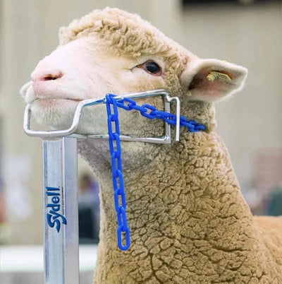 Sydell Open Fitting Head Piece | #0715 | Adjustable | Zinc-Plated | For Sheep & Goat Handling