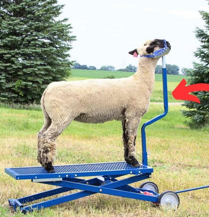 Sydell Curved Neck Reach For Sheep & Goats | #0732 | 1¼" Steel Tubing | For Livestock Handling