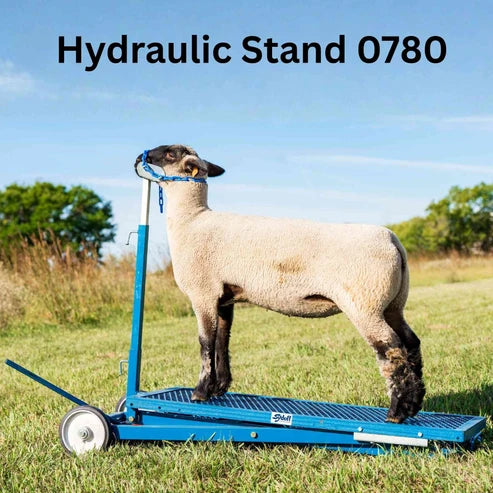Sydell Hydraulic Stand | #0780 | Deck Size 20" x 48" | For Livestock Show & Grooming