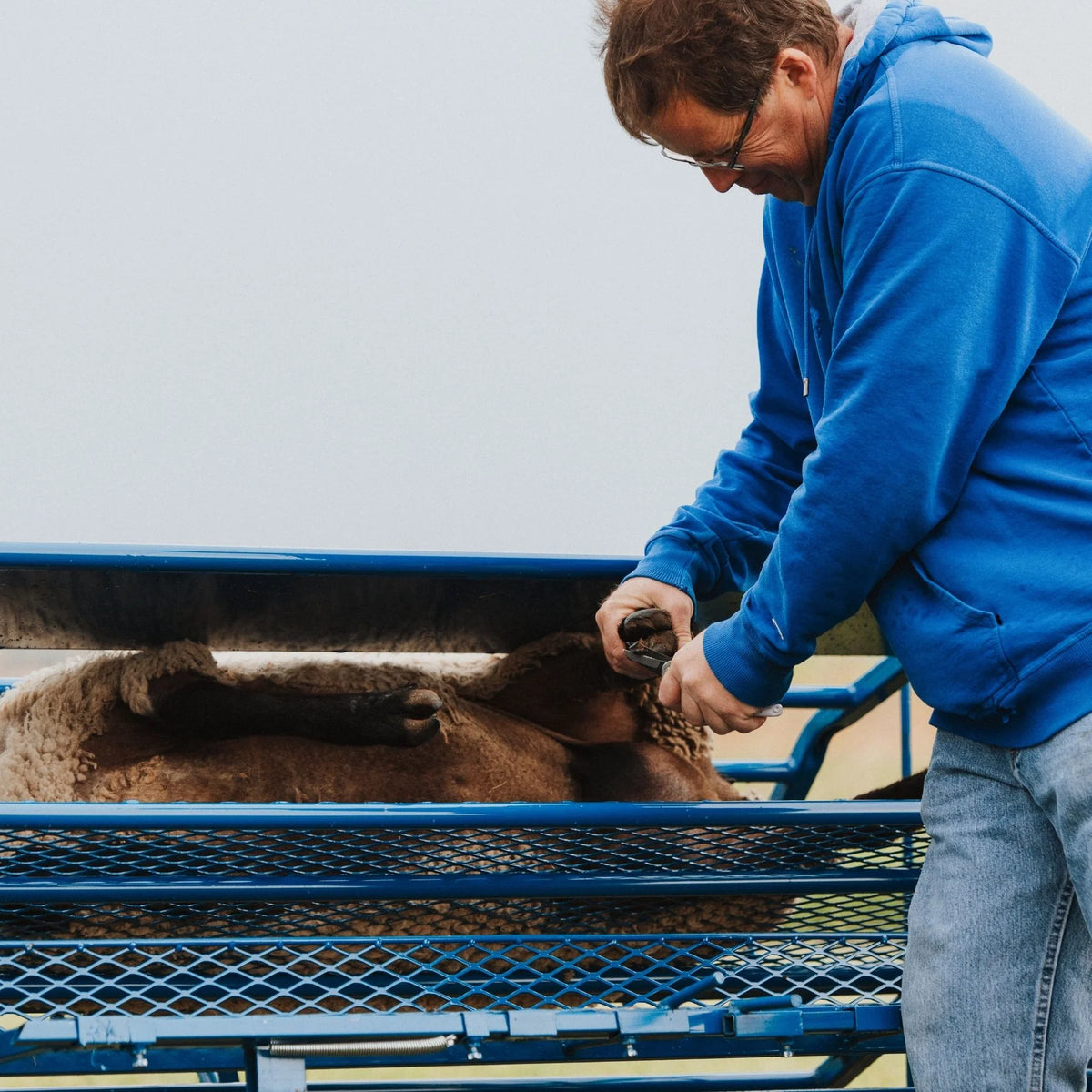 Sydell Tilt Table For Sheep & Goats | #0930 | Width 61" | For 100+ lb Livestock Hoof Trimming