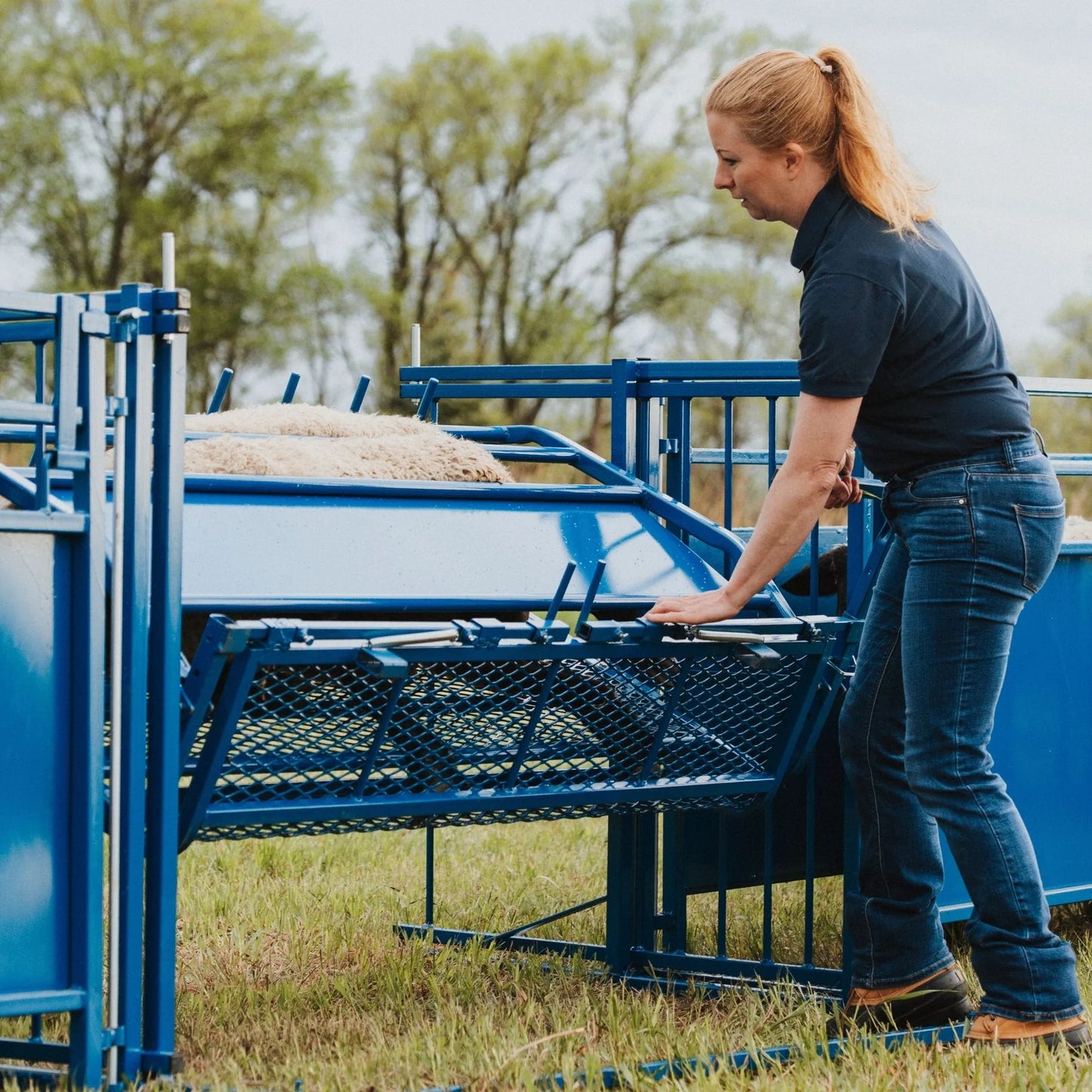 Sydell Tilt Table For Sheep & Goats | #0930 | Width 61" | For 100+ lb Livestock Hoof Trimming