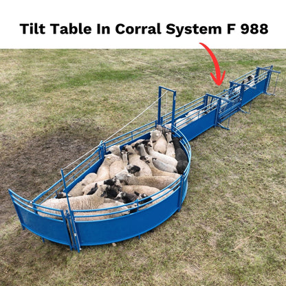 Sydell Tilt Table For Sheep & Goats | #0930 | Width 61" | For 100+ lb Livestock Hoof Trimming