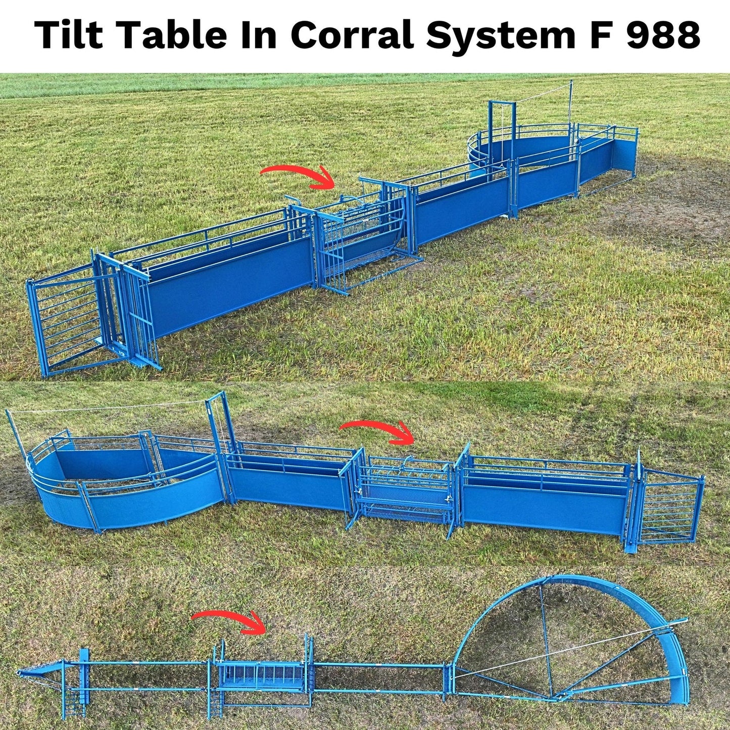 Sydell Tilt Table For Sheep & Goats | #0930 | Width 61" | For 100+ lb Livestock Hoof Trimming