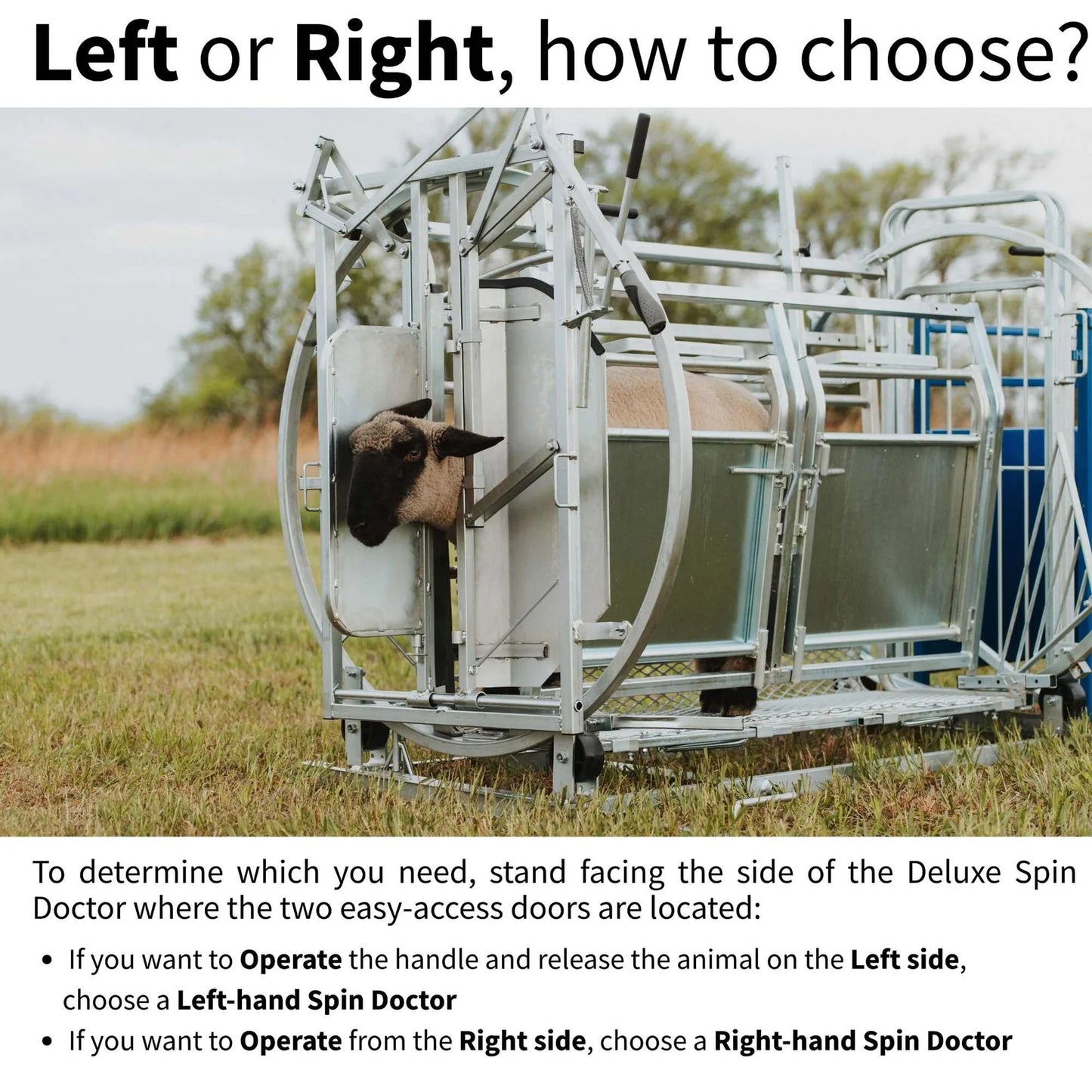 Sydell Deluxe Spin Doctor | #0938 | 46" Width | For Sheep & Goat Hoof Trimming & Handling