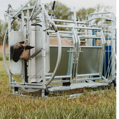 Sydell Deluxe Spin Doctor | #0938 | 46" Width | For Sheep & Goat Hoof Trimming & Handling
