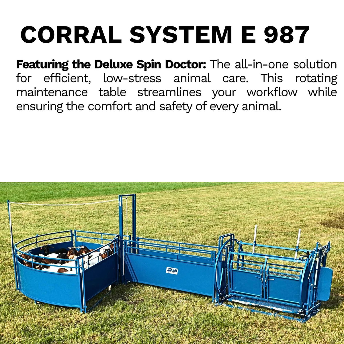 Sydell Deluxe Spin Doctor | #0938 | 46" Width | For Sheep & Goat Hoof Trimming & Handling