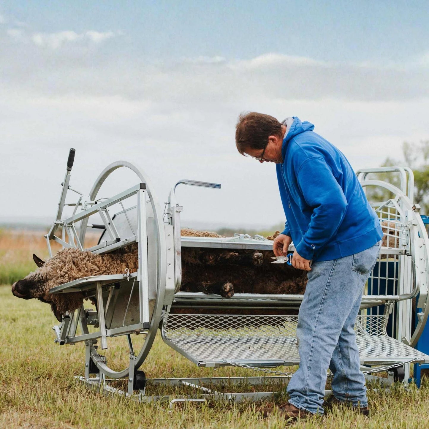 Sydell Deluxe Spin Doctor | #0938 | 46" Width | For Sheep & Goat Hoof Trimming & Handling