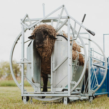 Sydell Deluxe Spin Doctor | #0938 | 46" Width | For Sheep & Goat Hoof Trimming & Handling