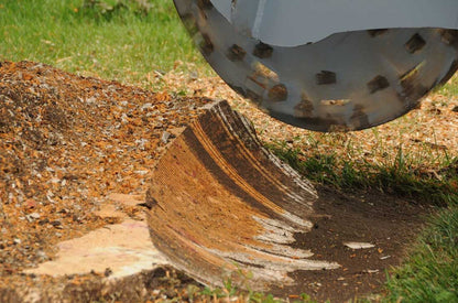 Baumalight | 3 Point Hitch Stump Grinder | 3P34 | 34" Rotor | 50-80 HP | For Tractor