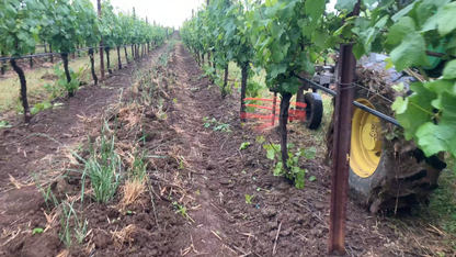 Agrishield Vineyard Sucker Remover | Width 72" | Horsepower 40-80 HP | For Tractors