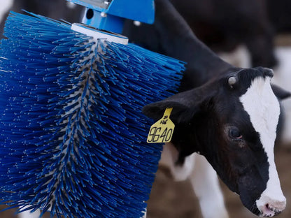 Sveaverken Smart Brush-Improve Cow Comfort & Hygiene