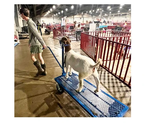 Sydell E.Z. Rider Wash Cart | #0785ERN | Smooth-Rolling | For Sheep & Goat Transport Cart